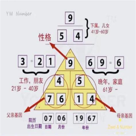 生命密碼數字解說|生命靈數